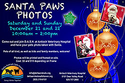 DASH Antioch Vet Santa Photos Flyer