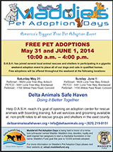Maddie's Pet Adoption Days Flyer