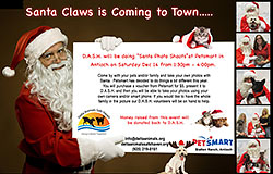 DASH Santa Photo Shoot Flyer